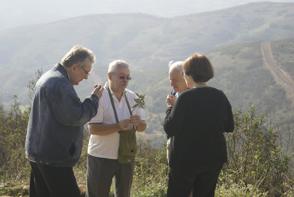 081111_Iberfoto010.jpg