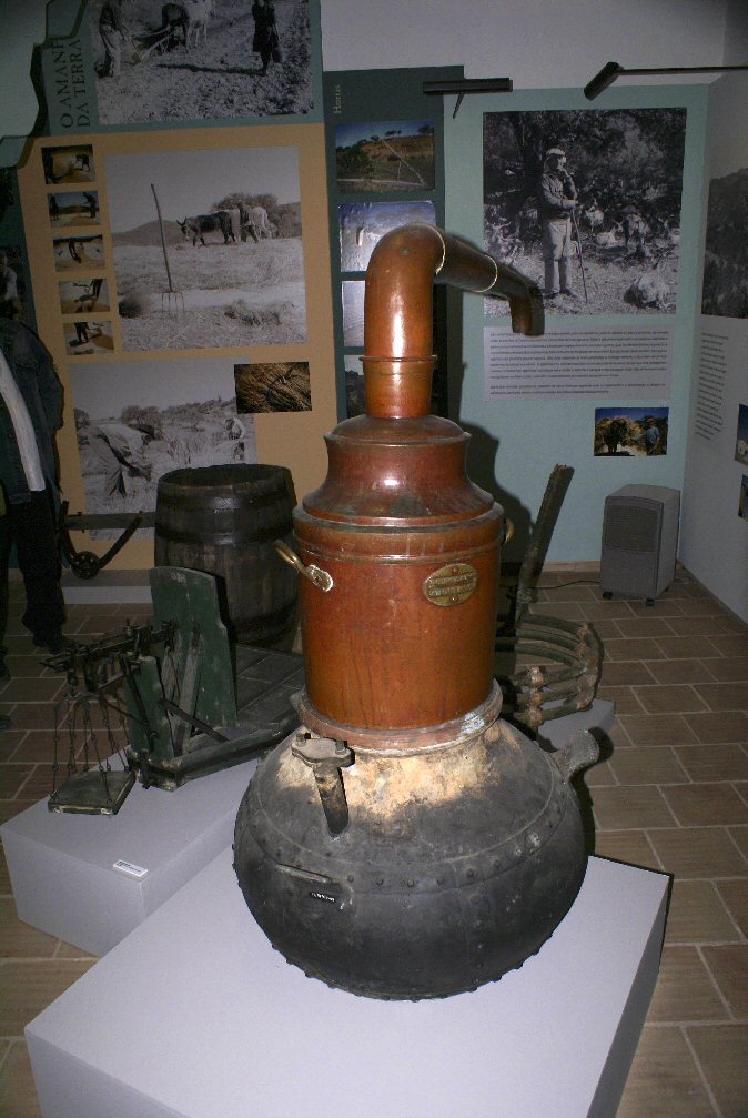 081111_Iberfoto020.jpg