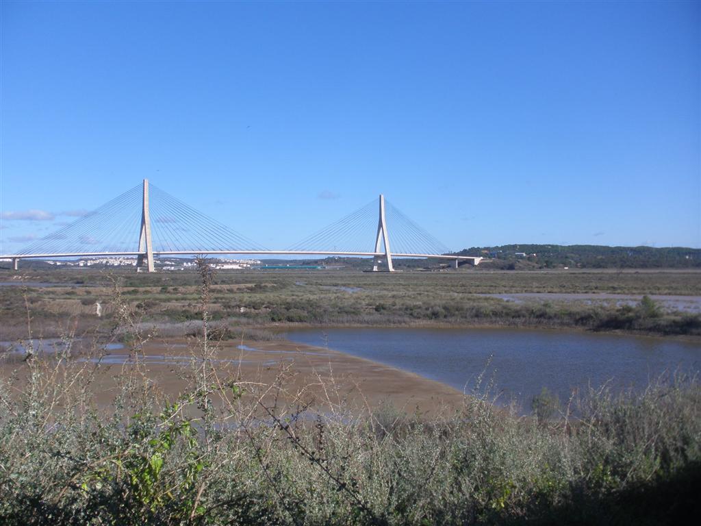 PB110034.JPG